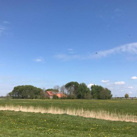 Ferienhof Spiegelhaus Круммгерн Екстер'єр фото