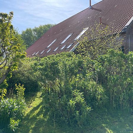 Ferienhof Spiegelhaus Круммгерн Екстер'єр фото