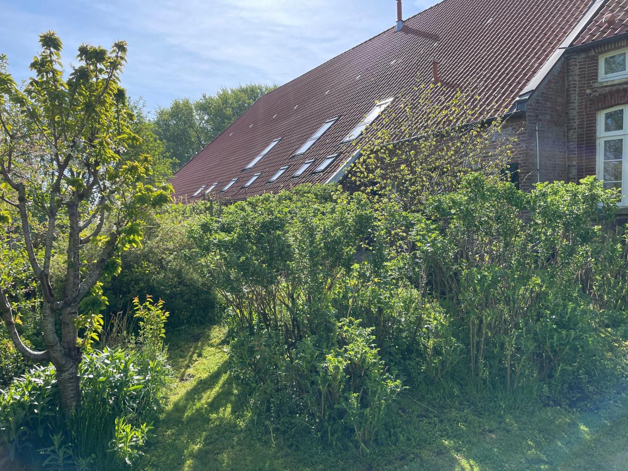 Ferienhof Spiegelhaus Круммгерн Екстер'єр фото